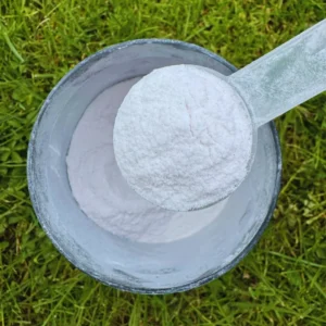 Goal Booster Powder